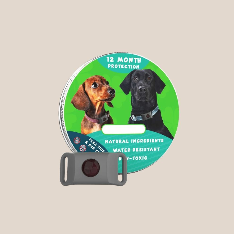 PawGuard | Langdurige bescherming tegen vlooien & teken
