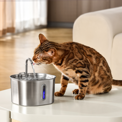 AquaWhisk- 2.2L Drinkfontein voor katten