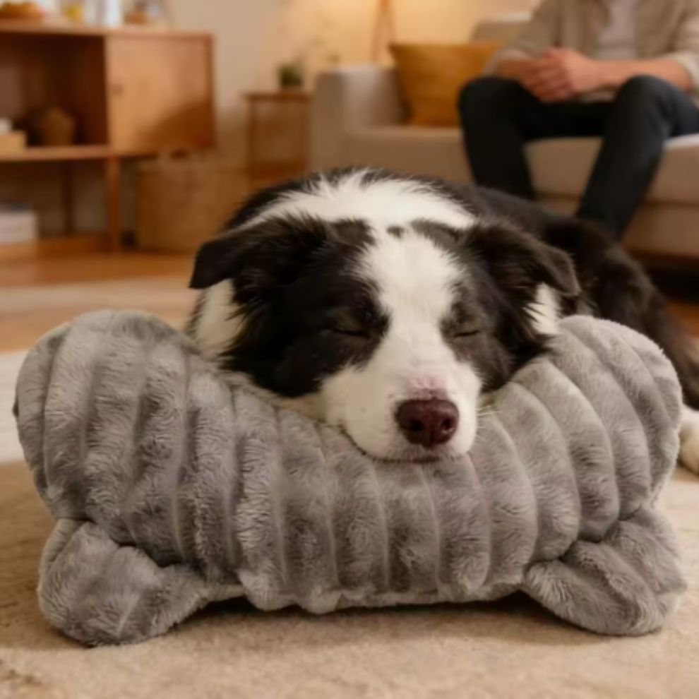 PawCalm | Kalmerend Hondenkussen
