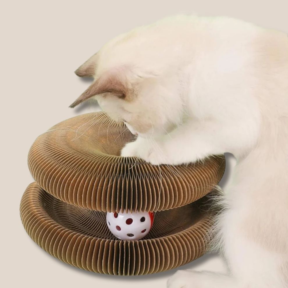 PurrPlay - Krab & Speelbaan voor katten