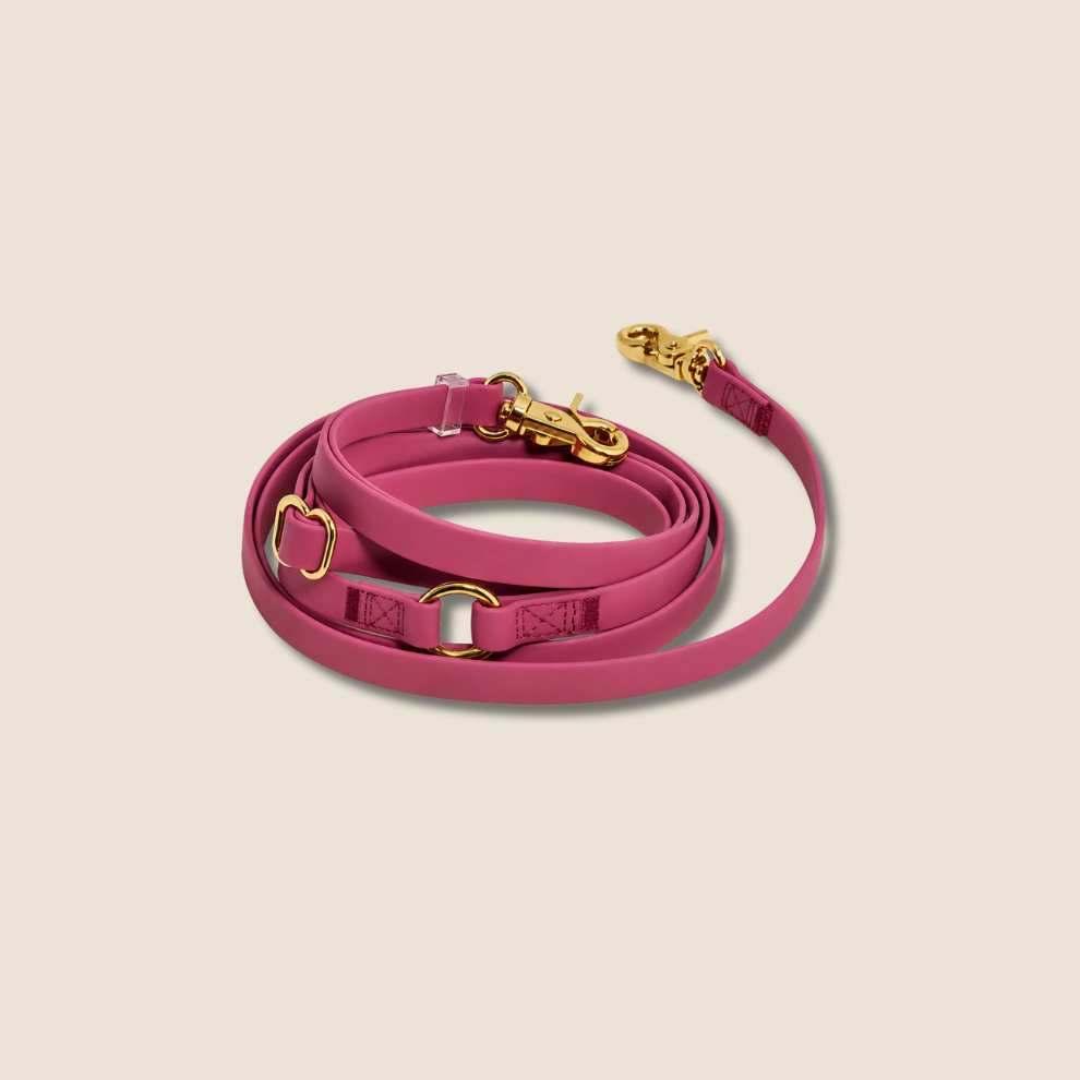 PawFlex - 4 manieren. 1 riem. Eindeloos wandelcomfort.