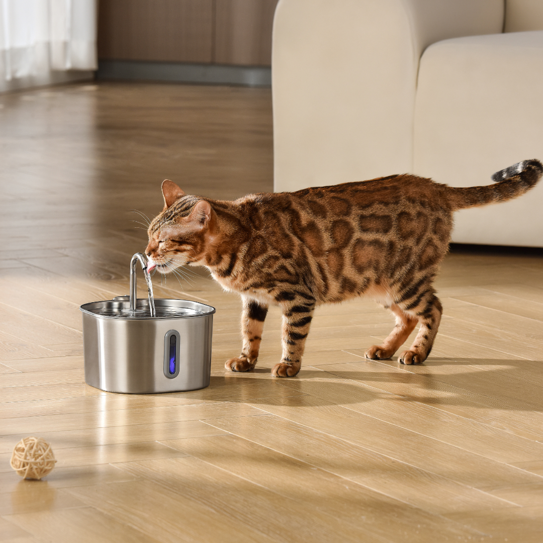 AquaWhisk- 2.2L Drinkfontein voor katten