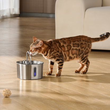 AquaWhisk- 2.2L Drinkfontein voor katten