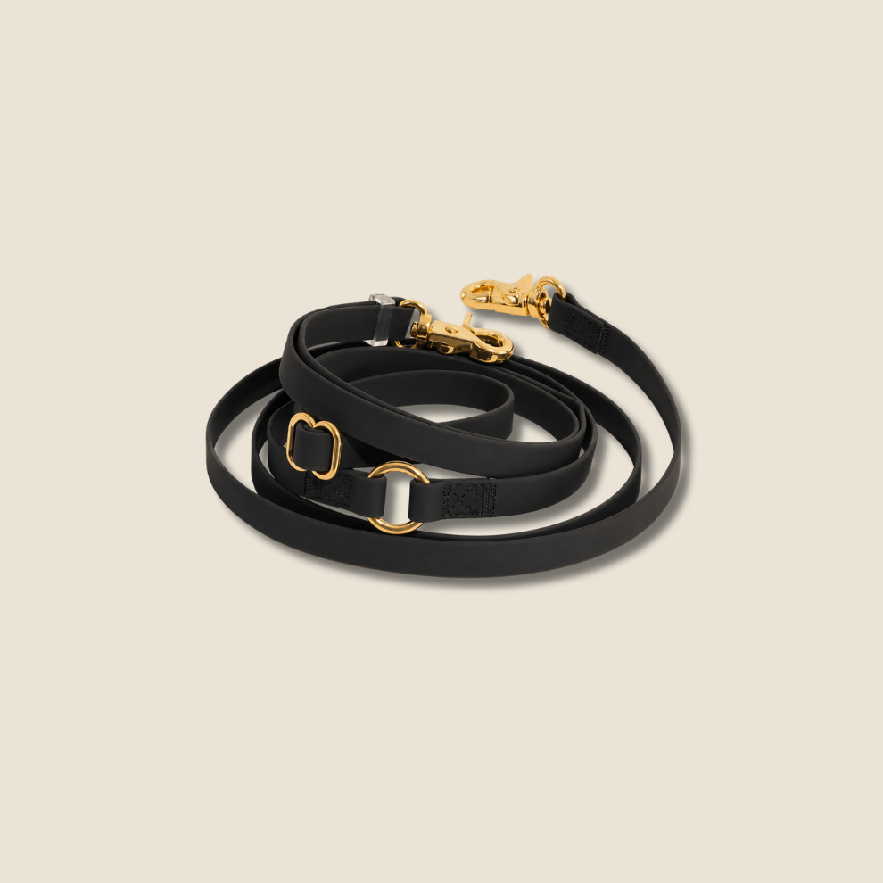 PawFlex - 4 manieren. 1 riem. Eindeloos wandelcomfort.