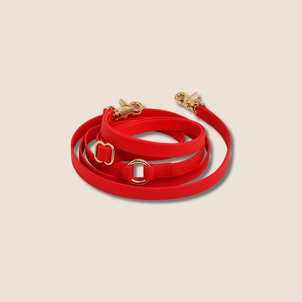PawFlex - 4 manieren. 1 riem. Eindeloos wandelcomfort.