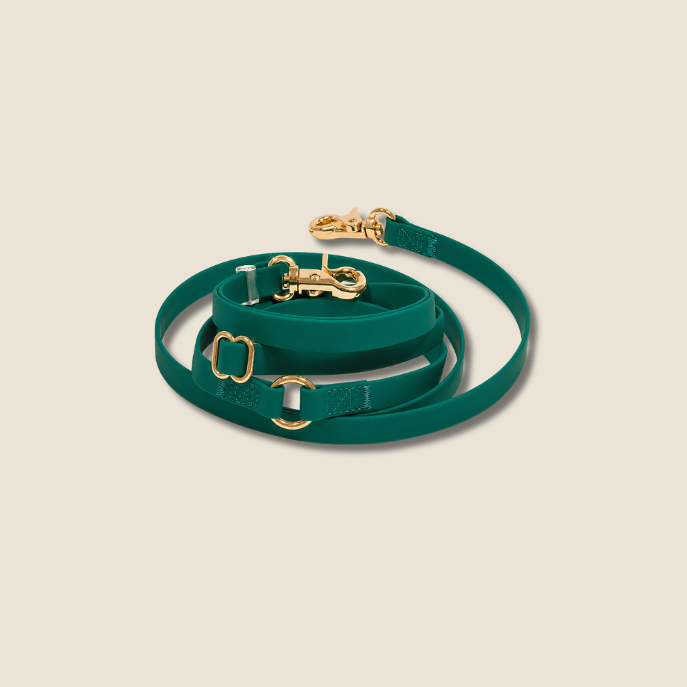 PawFlex - 4 manieren. 1 riem. Eindeloos wandelcomfort.