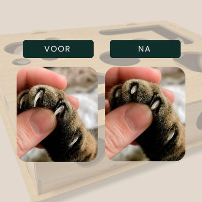 PawScratch| Interactieve krab- & nagelvijlbox voor katten