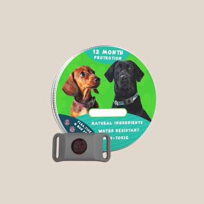 PawGuard | Langdurige bescherming tegen vlooien & teken