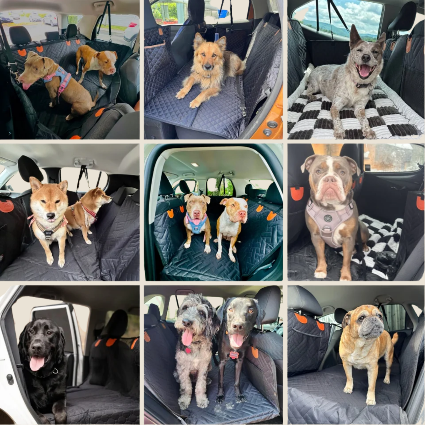 PawRide | Luxe Hondendeken voor Auto - Nooit meer een vieze achterbank door je hond 🐾