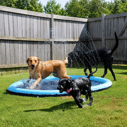 PawSplash | Verkoelende Splash Mat Voor Honden