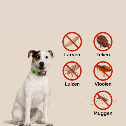 PawGuard | Langdurige bescherming tegen vlooien & teken