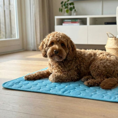 PawCool | Zelfkoelende hondenmat zonder stroom of water.