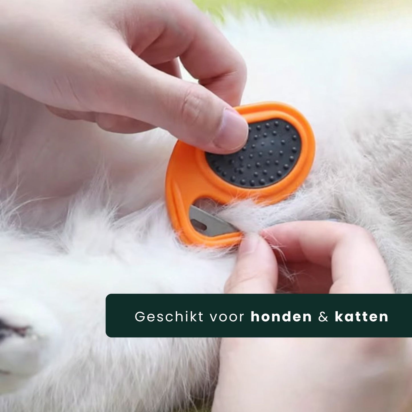 anti klitten kam voor honden en katten geen pijn