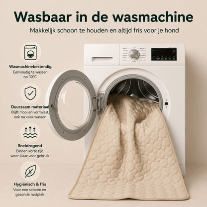 PawCool | Zelfkoelende hondenmat zonder stroom of water.