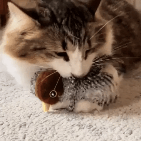PawFly – Bewegend Jacht Speeltje voor Katten