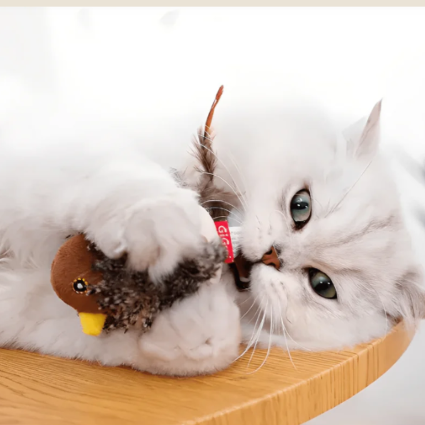 PawFly – Bewegend Jacht Speeltje voor Katten