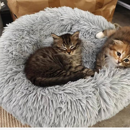 PawNest orthopedische kattenmand voor meer rust en comfort