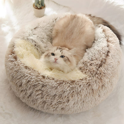 Comfortabele schuilplek voor kat