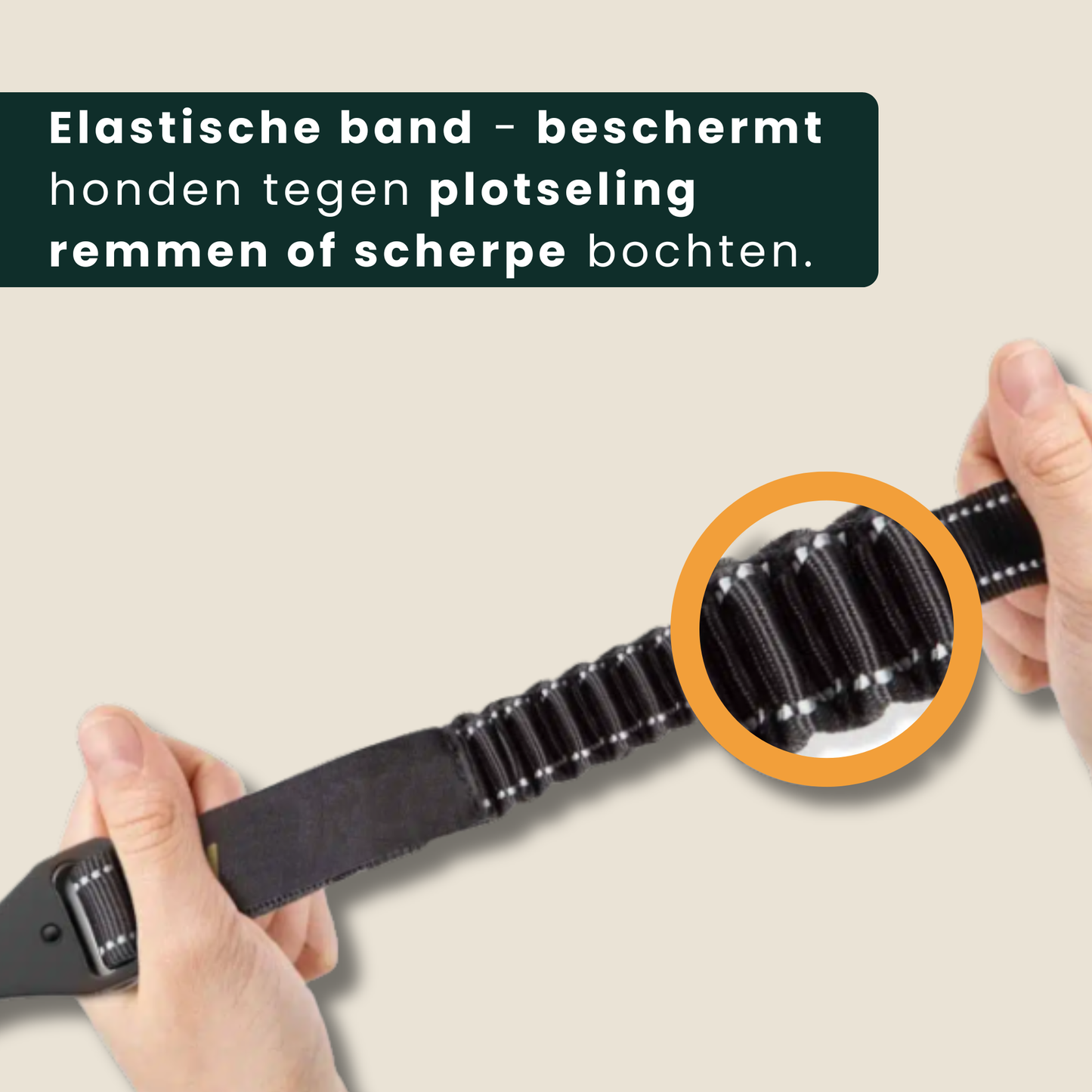 PawSecure autogordel voor hond elastische band