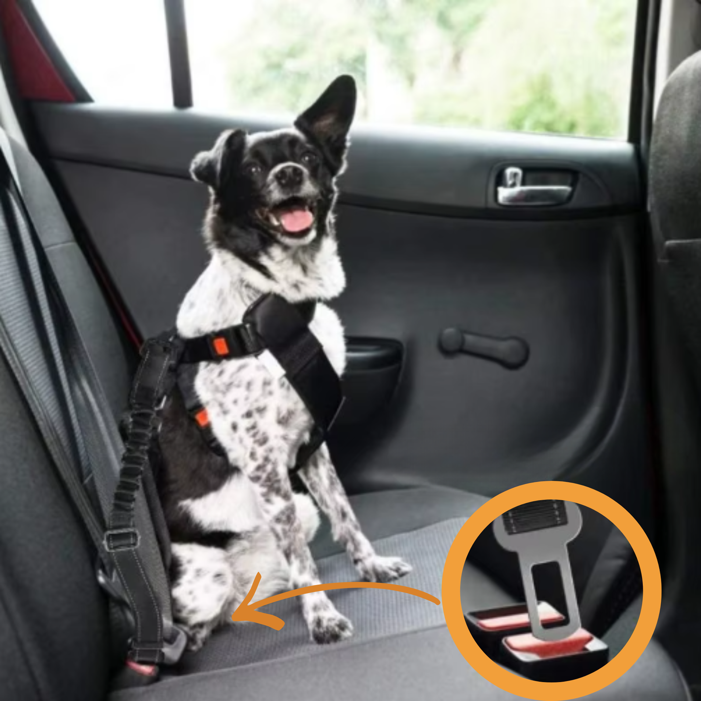 PawSecure autogordel voor hond kliksysteem