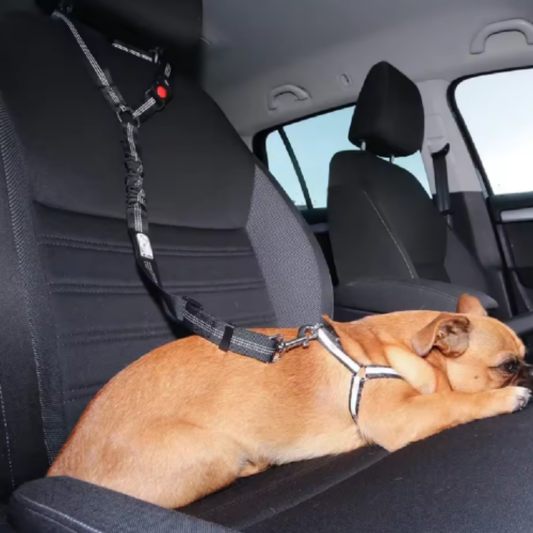 PawSecure Headrest - Veilige Autogordel voor Honden met Hoofdsteun Bevestiging