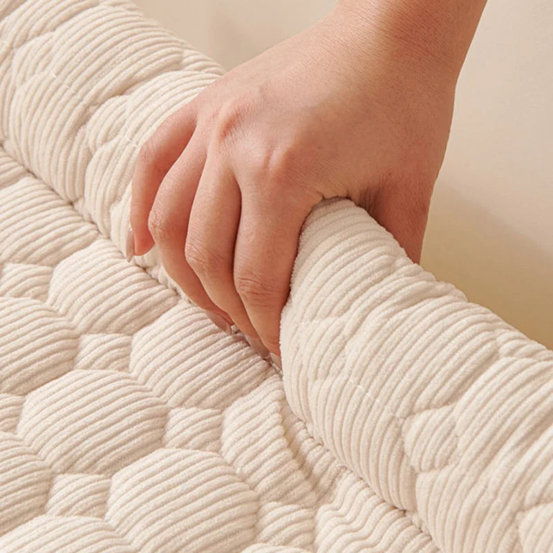 PawShield_detail