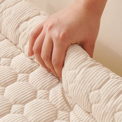 PawShield_detail