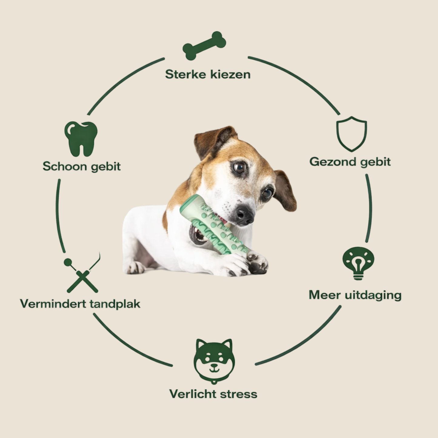 Hondenspeelgoed voor gezonde tanden en tandvlees