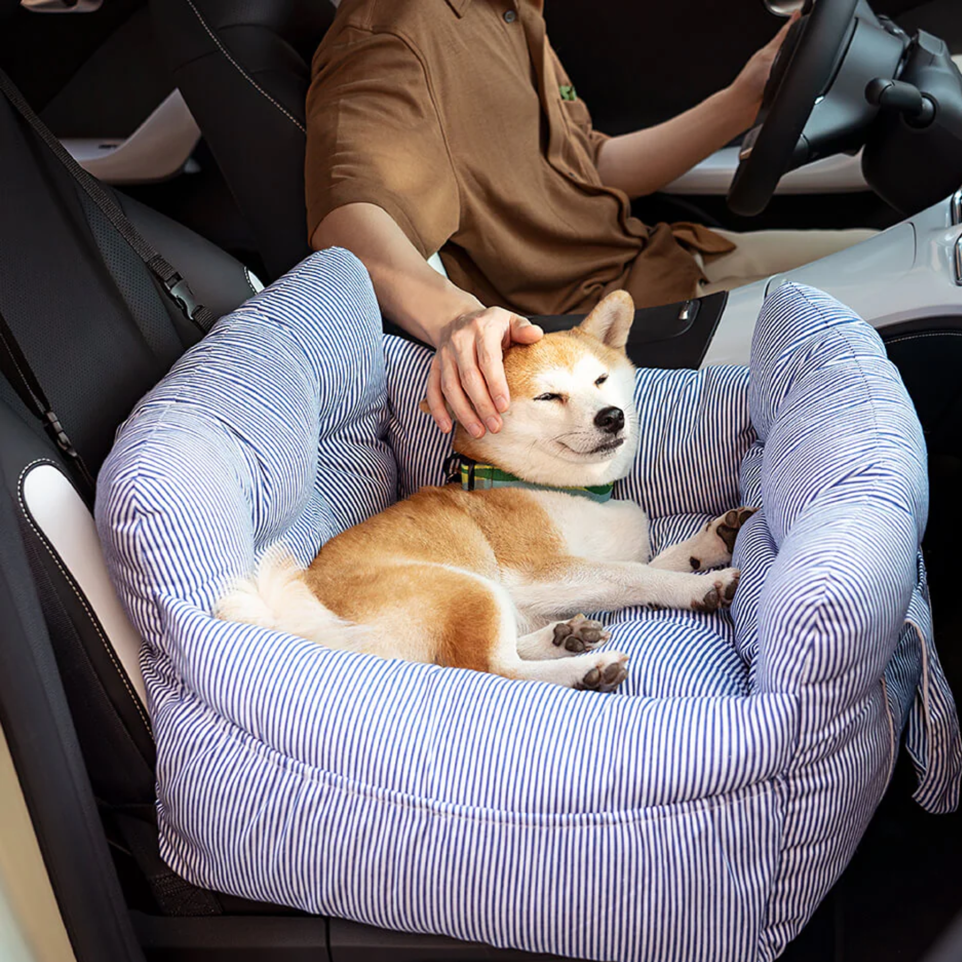 PawVoyage draagtas met hond onderweg