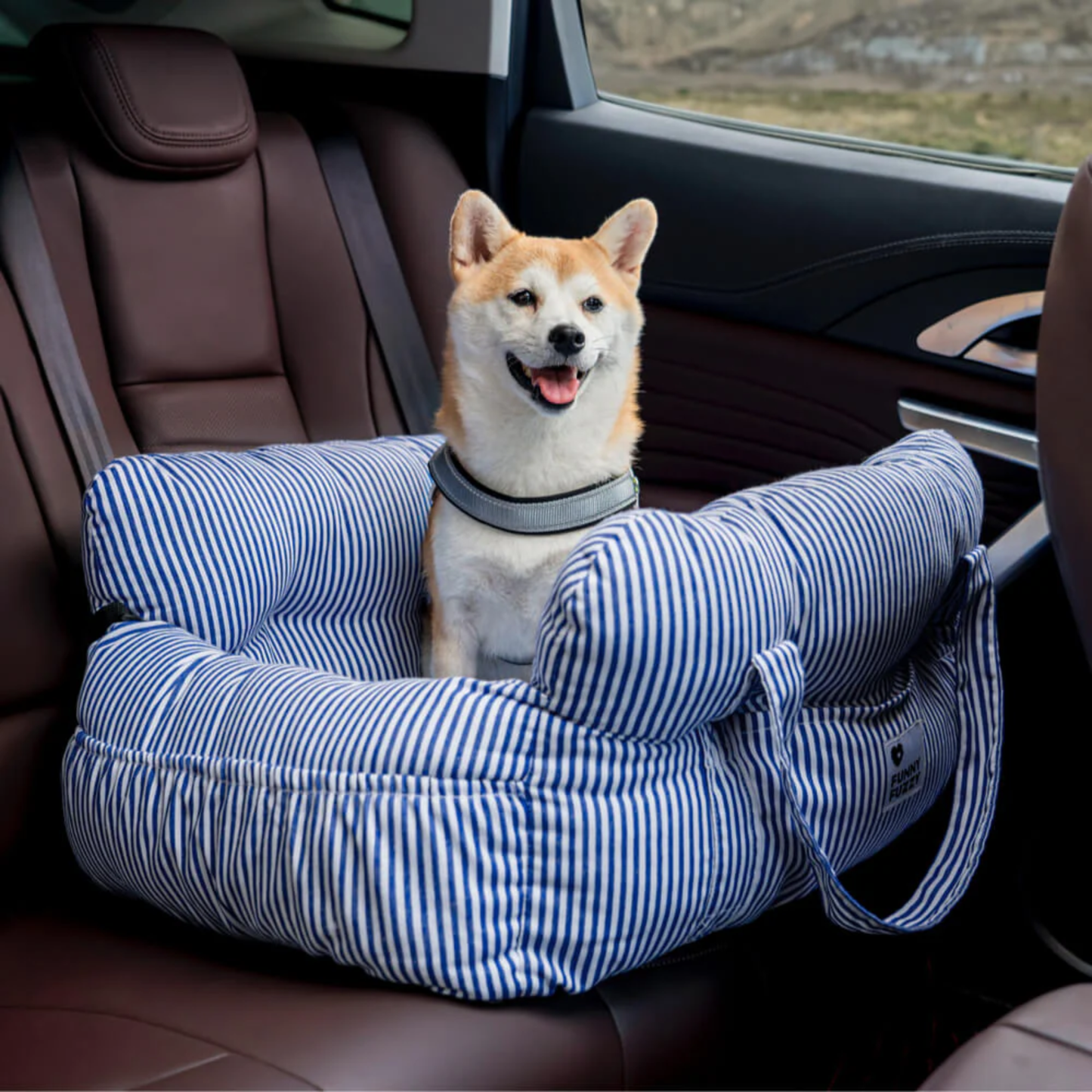 Hond meenemen in 2-in-1 autostoel draagtas
