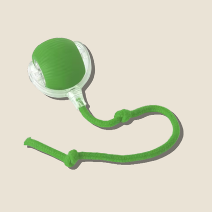 PawPlay | Interactief speeltje voor katten & honden. - Meer spelen. Minder slopen.