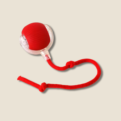 PawPlay | Interactief speeltje voor katten & honden. - Meer spelen. Minder slopen.