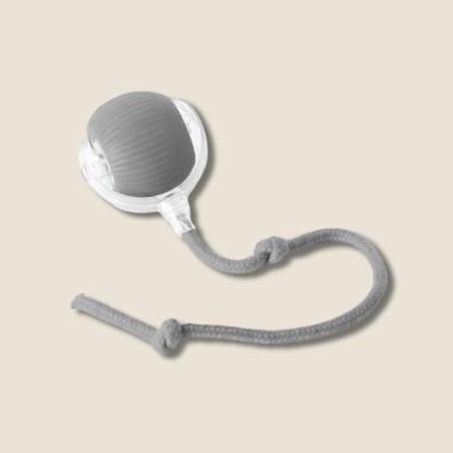 PawPlay | Interactief speeltje voor katten & honden. - Meer spelen. Minder slopen.