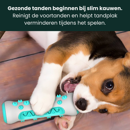PawTooth | Kauwspeelgoed voor Tandenreiniging Hond - Spelen & Reinigen in 1