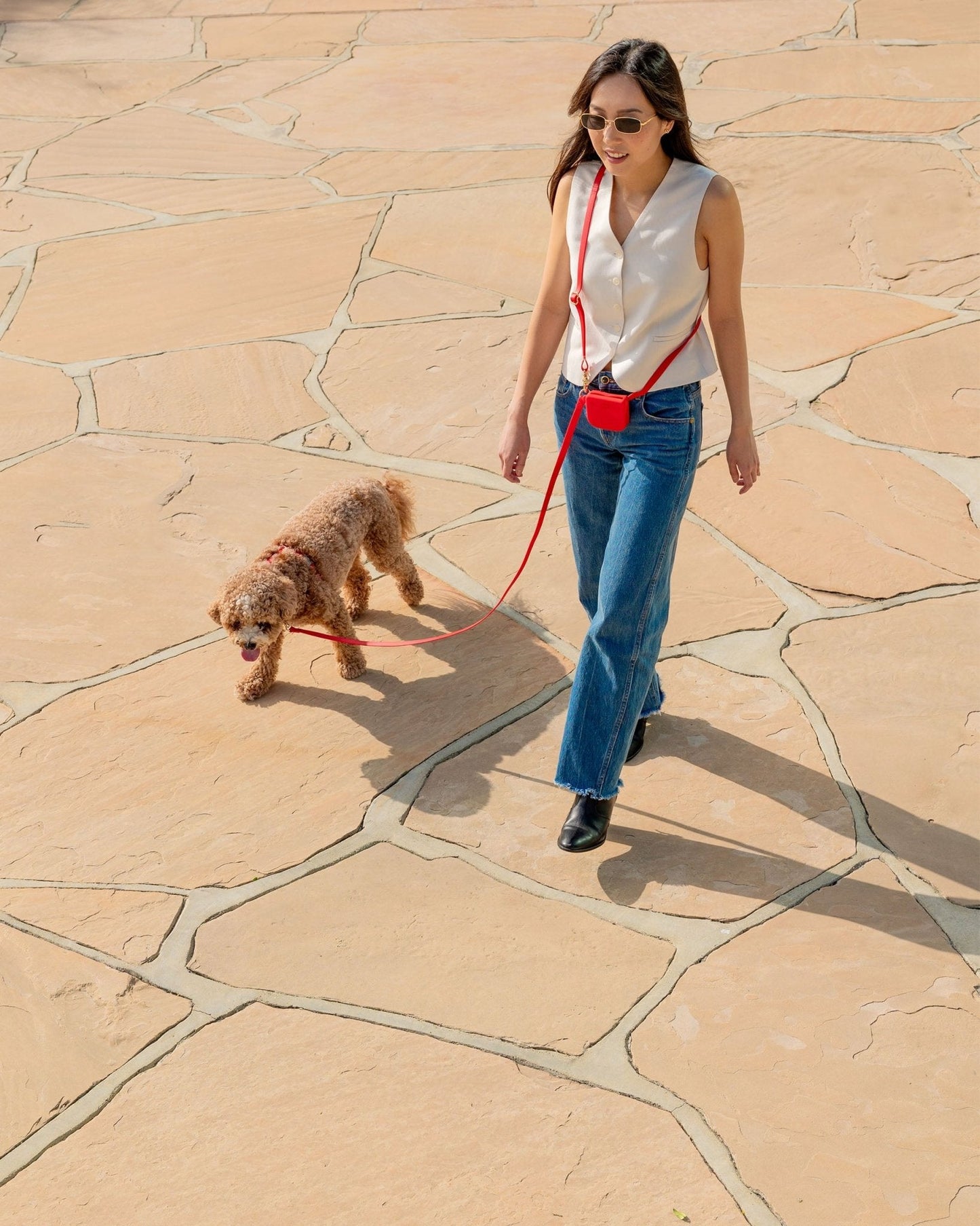 PawFlex - 4 manieren. 1 riem. Eindeloos wandelcomfort.