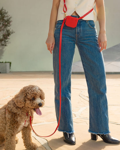 PawFlex - 4 manieren. 1 riem. Eindeloos wandelcomfort.