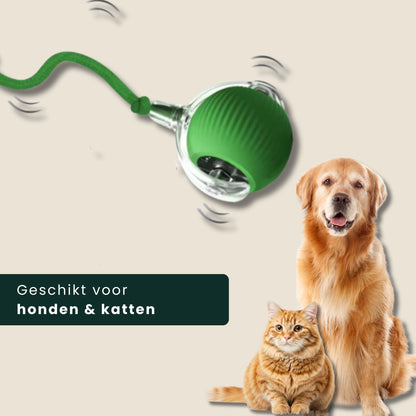 PawPlay interactief speeltje voor honden en katten