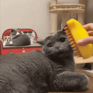 SteamBrush Lite | Compacte Stoomborstel voor Honden & Katten