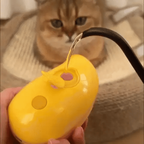 SteamBrush Lite | Compacte Stoomborstel voor Honden & Katten