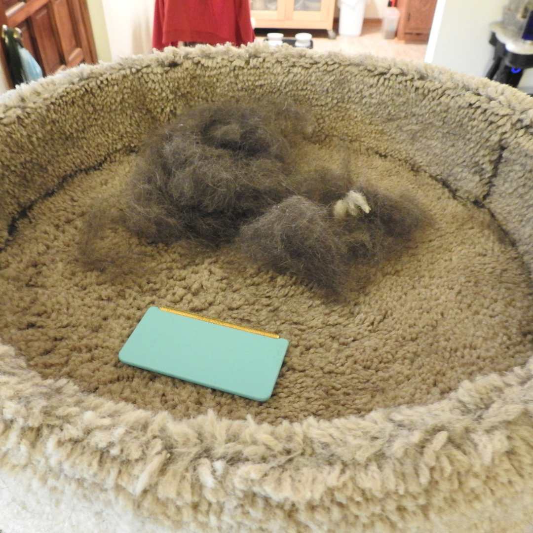 PawSweep Pro – Verwijder hardnekkige dierenharen in seconden